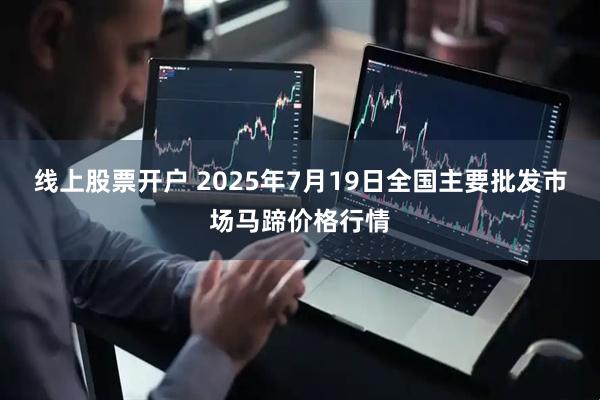 线上股票开户 2025年7月19日全国主要批发市场马蹄价格行情
