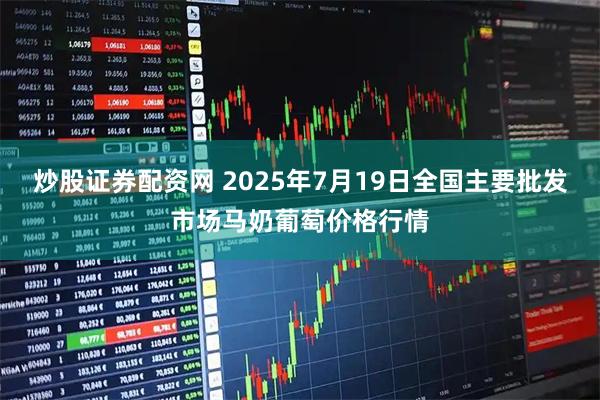 炒股证券配资网 2025年7月19日全国主要批发市场马奶葡萄价格行情