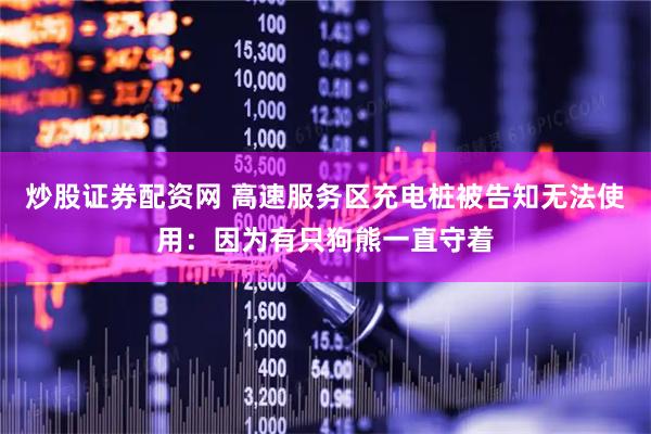 炒股证券配资网 高速服务区充电桩被告知无法使用：因为有只狗熊一直守着